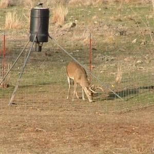 Meet your Posher, Jerry